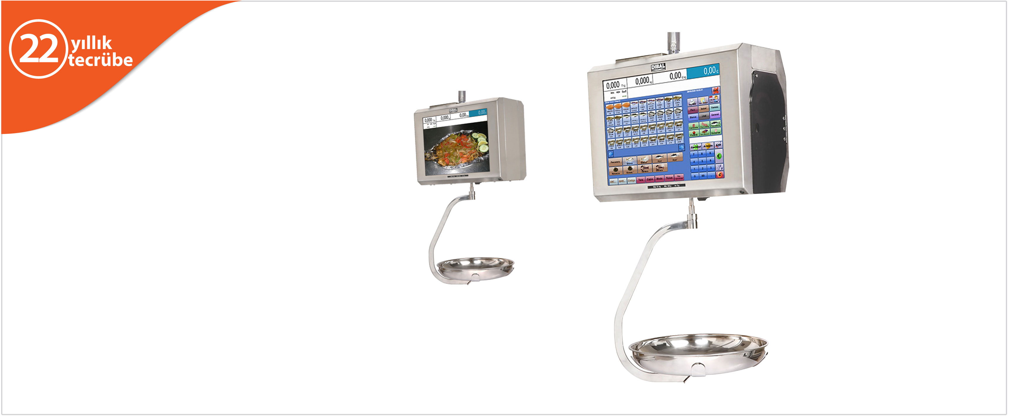 PC Scale Series System Scales